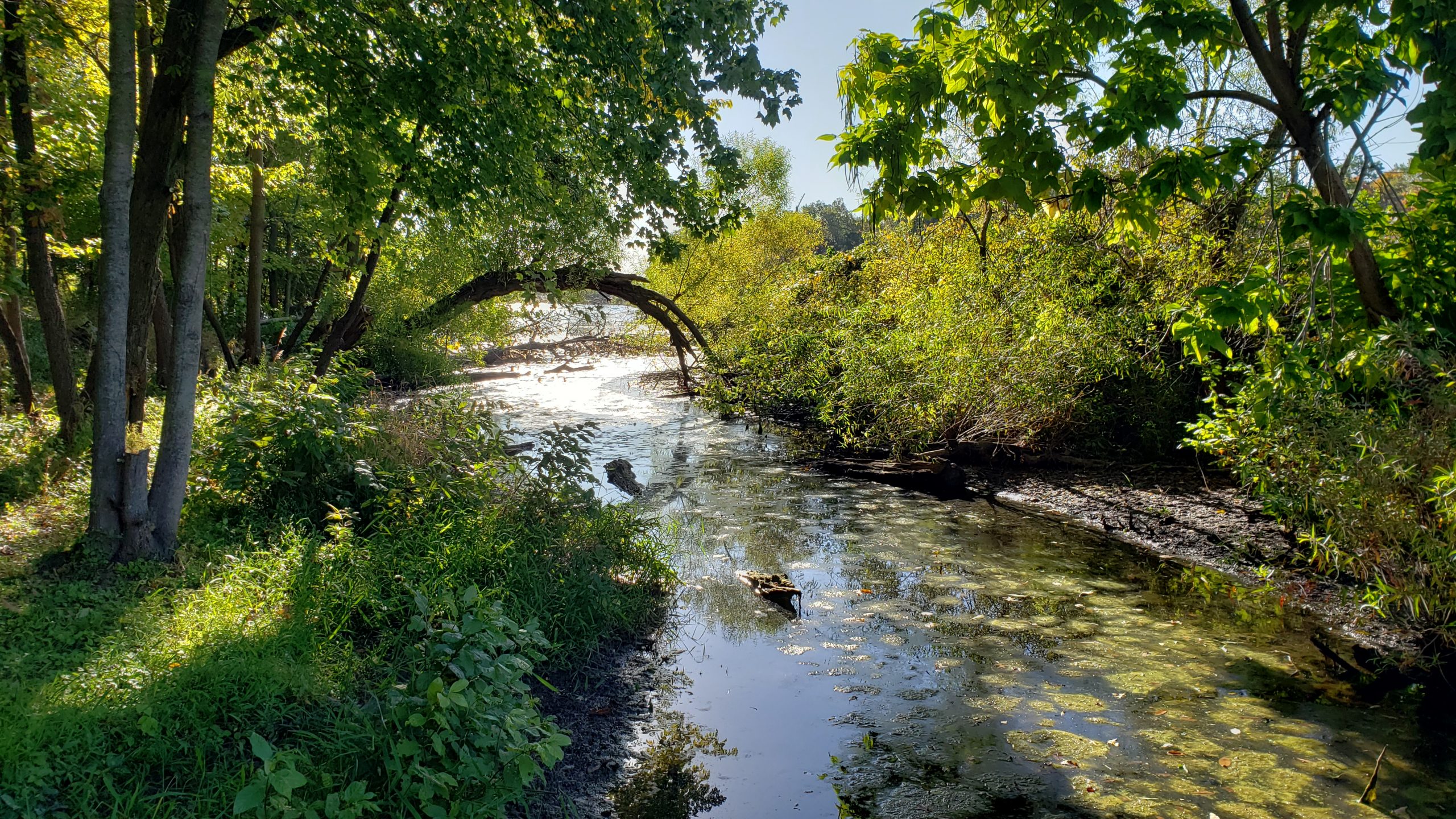 Creek in Mount Vernon, Illinois